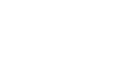 logo diatominerals